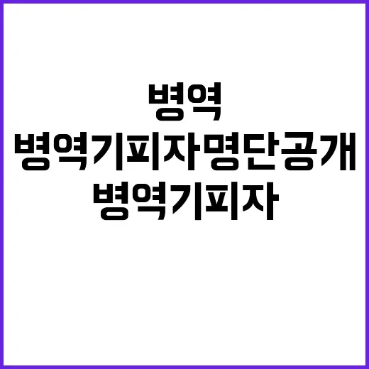 병역 기피자 명단 공개 당신의 생각은?