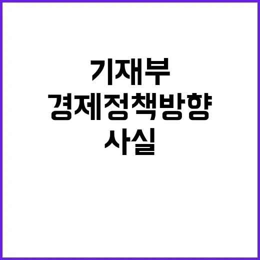 경제정책방향 기재부의 구체적 내용 미정 사실!