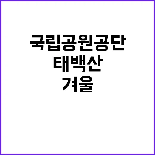 [태백산] 태백산국립공원사무소 겨울성수기 환경관리 기간제(한시인력) 채용 공고