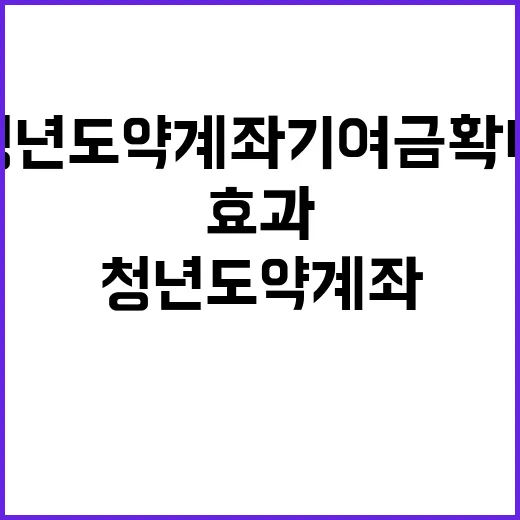 청년도약계좌 기여금 확대 수익효과 대폭 상승!