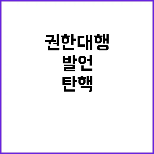 탄핵 발언 없는 최 권한대행의 진실은?