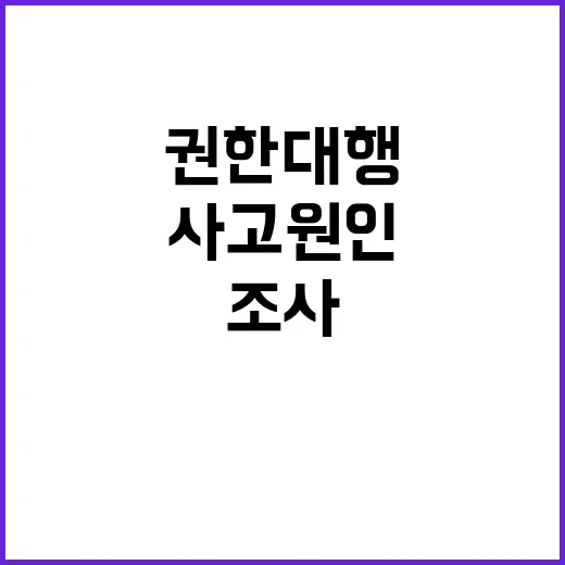 합동 조사 권한대행…