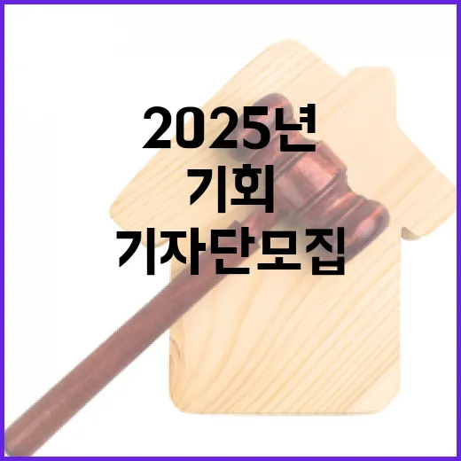 정책기자단 모집 2025년 기회 놓치지 마세요!