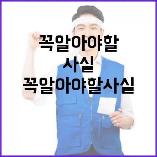 속도 체감도 향상 지금 꼭 알아야 할 사실!