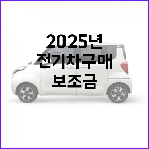 2025년 보조금 전기차 구매의 새로운 기회!