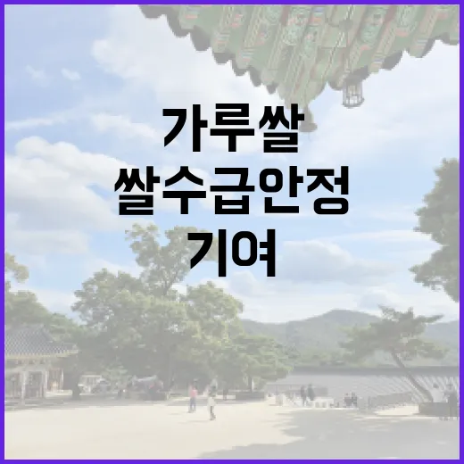 가루쌀 쌀 수급안정 기여 사실은 이렇습니다!