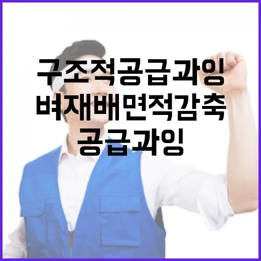 구조적 공급과잉 벼 재배면적 감축 필요성!