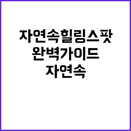 리틀 포레스트 자연…