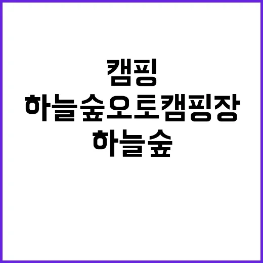 하늘숲 오토캠핑장 …