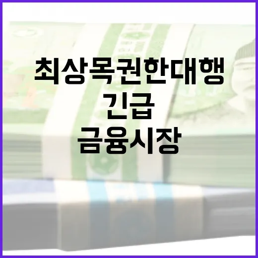 금융시장 점검체계 최상목 권한대행의 긴급 당부!