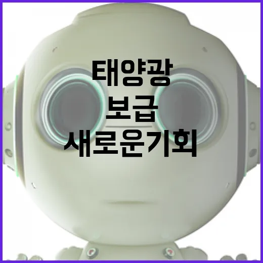 태양광 보급 증가 새로운 기회의 시작!