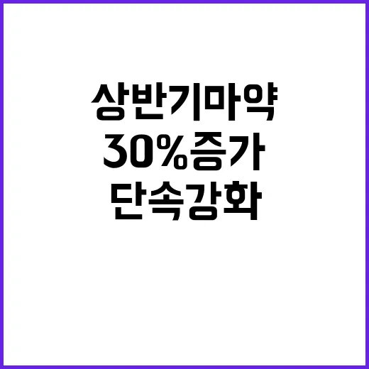 상반기 마약 검거 …