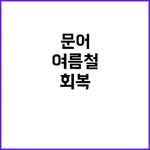 장어류·문어, 여름…