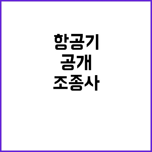 항공기 음주 조종사…