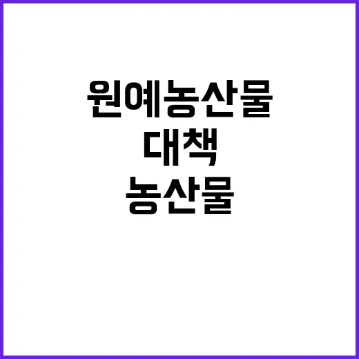 원예농산물 중장기 …