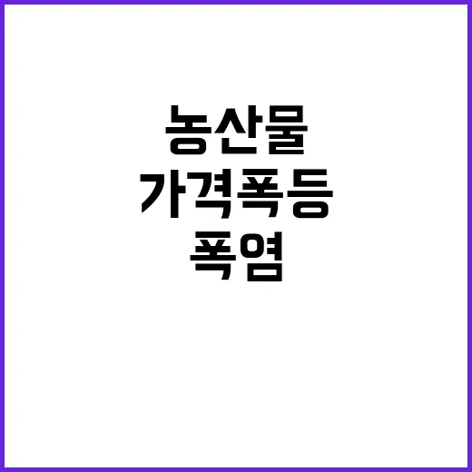 폭염 농산물 가격 …