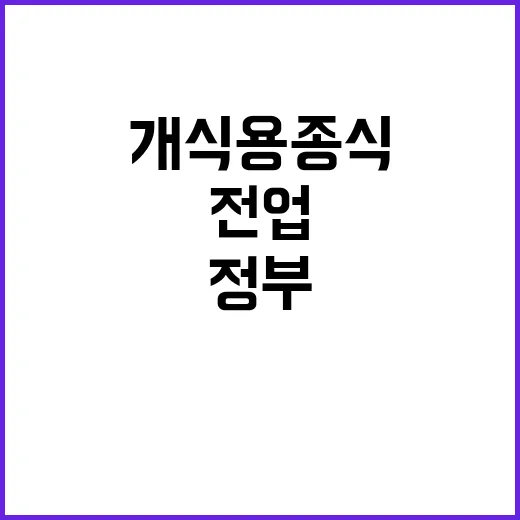 개식용종식법, 정부…