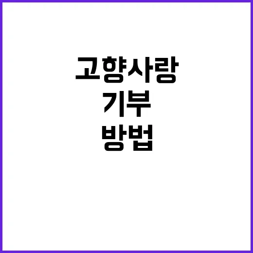 고향사랑기부금, 문…