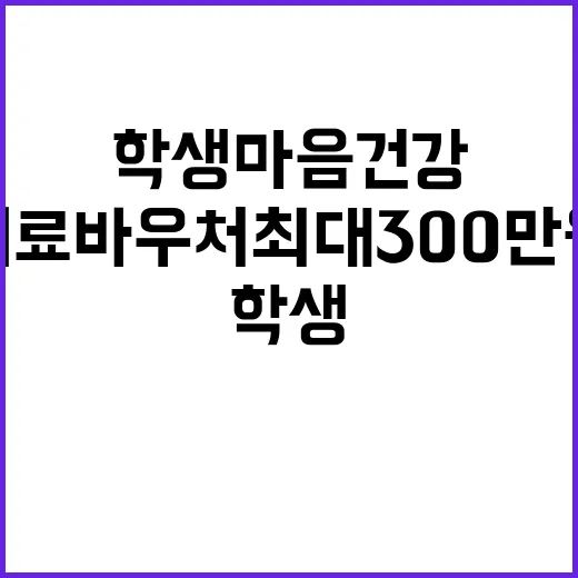 학생 마음건강 치료 바우처 최대 300만 원 지원!