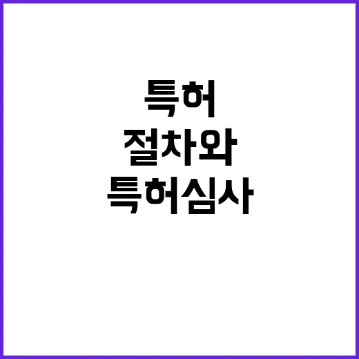 특허 심사 공정한 …