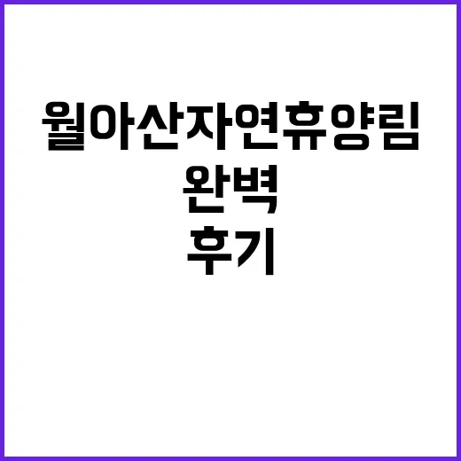 월아산 자연휴양림 …