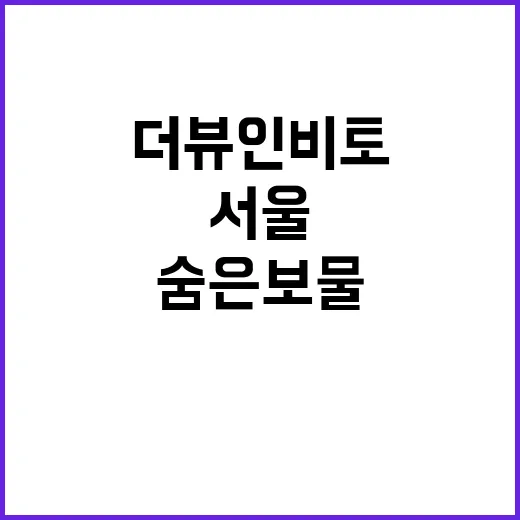 더뷰인비토