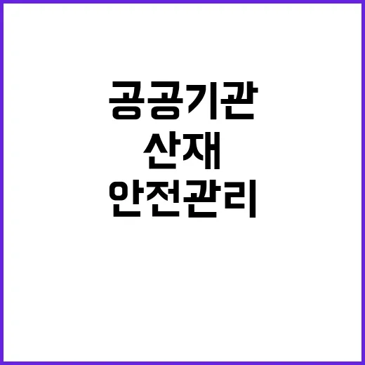 공공기관 안전관리 …