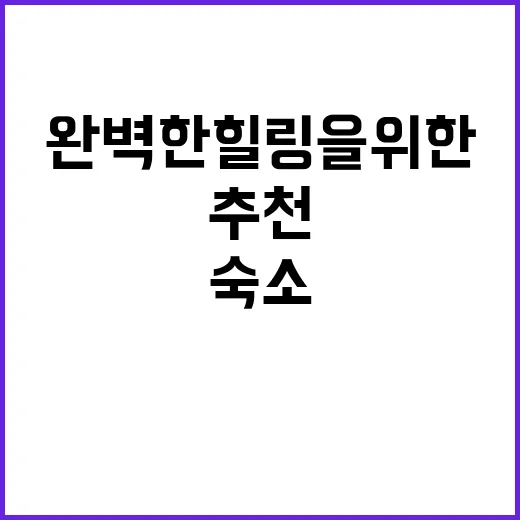 플라움