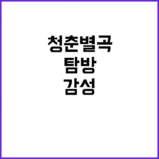 청춘별곡