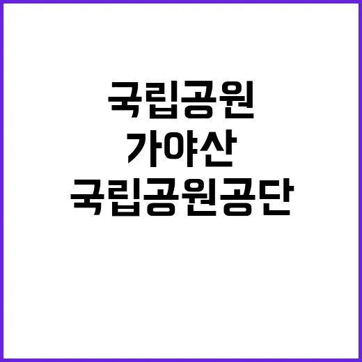 [가야산] 가야산국립공원 기간제(환경관리,탐방로보수) 인력 채용 공고