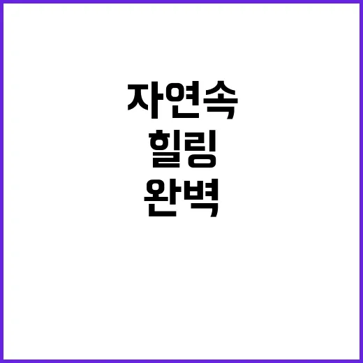 작가캠핑