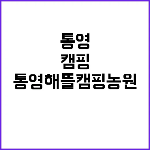 통영해뜰캠핑농원