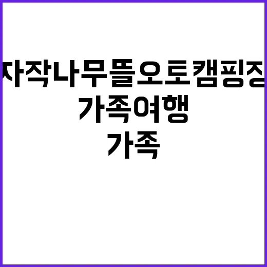 자작나무뜰 오토캠핑…