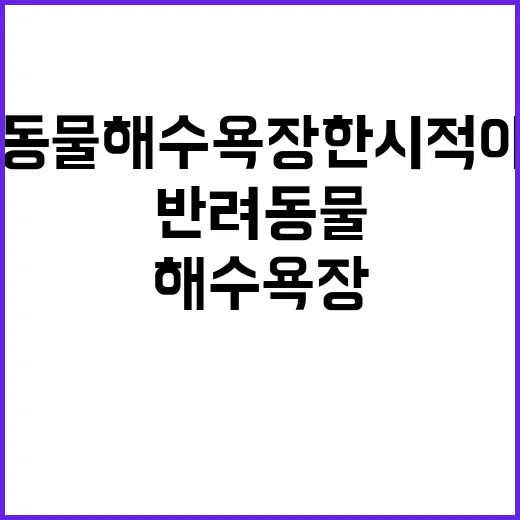 반려동물 해수욕장 한시적 야영장