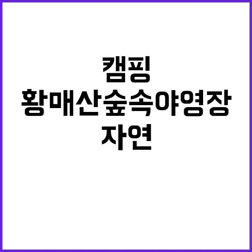 황매산 숲속야영장