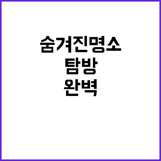 아름다운 신수도 숨…