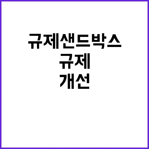 규제샌드박스 개선 …