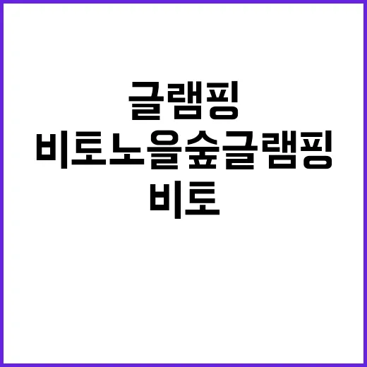 비토 노을숲 글램핑