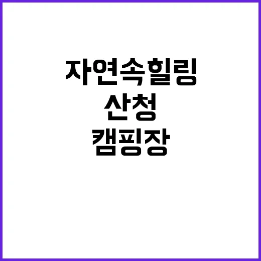 산청프리미엄캠핑장 …