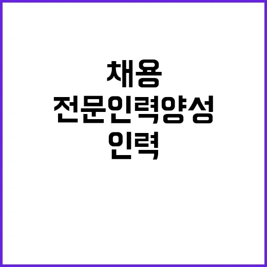 정부 채용전문인력 …