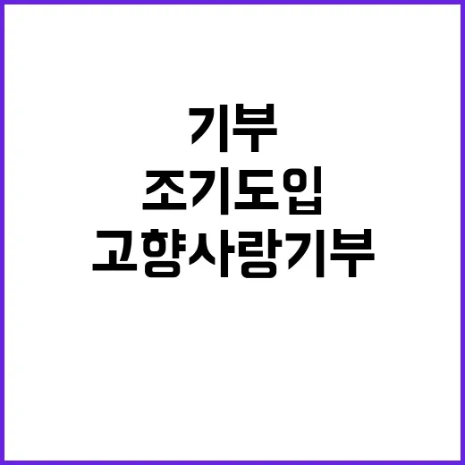 고향사랑기부 행안부…