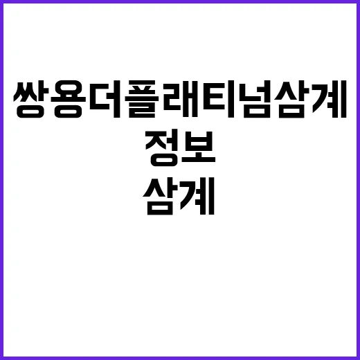 쌍용 더 플래티넘 …