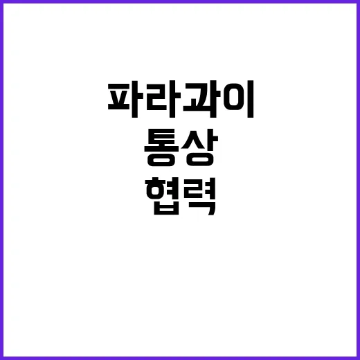 ‘TIPF’ 한파라…