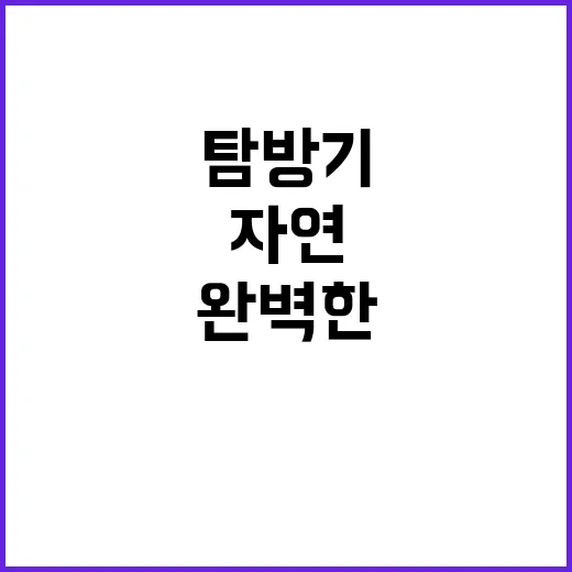 백산금빛캠프장