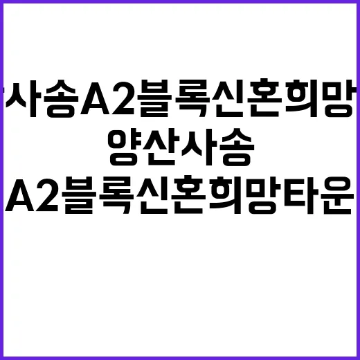 양산사송 A2블록 신혼희망타운 청약 일정 경쟁률 예상