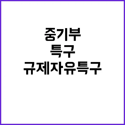 규제자유특구 중기부와 시도의 지원 방안 공개!