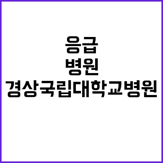 [창원경상국립대학교병원] 전문직1등급(촉탁의) 채용공고 (응급의학과)