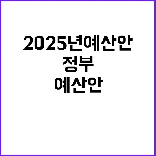 2025년 예산안 정부의 미래 비전은 무엇인가?