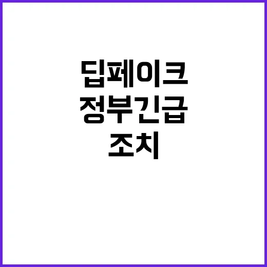 딥페이크 대응 조치…