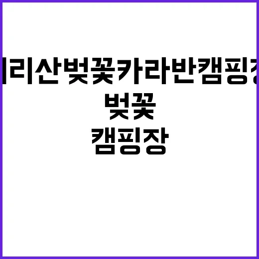 지리산 벚꽃 카라반 캠핑장